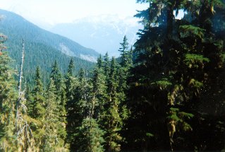 Part way up the trail, view looking back, Rainbow Lake 1998-08.
